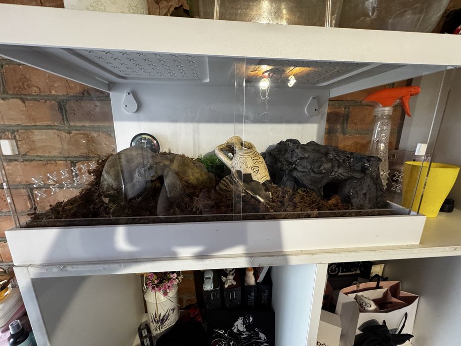 Продам Террариум