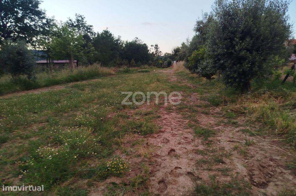 Terreno a 5 minutos do centro de Mangualde o seu Sonho