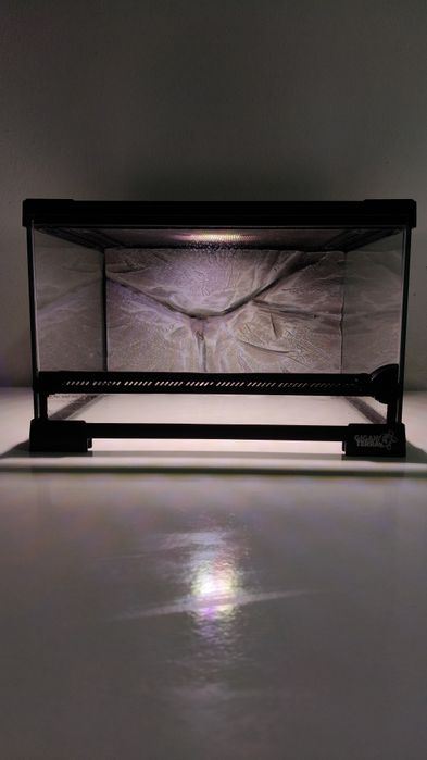 Terrários Giganterra