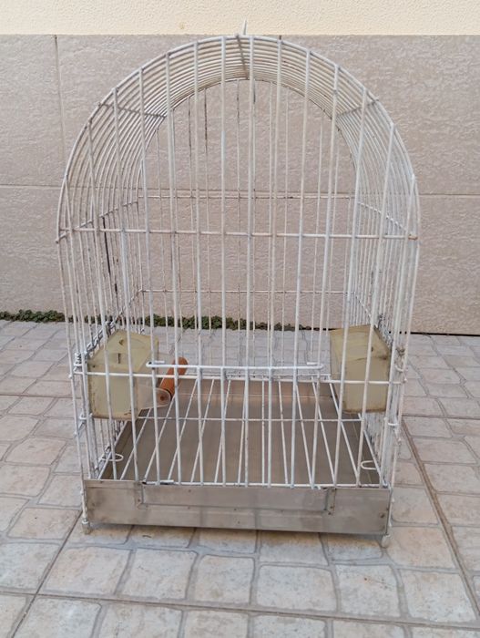 Gaiola 50x40x40 caturra