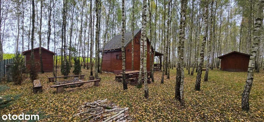 Sprzedam urokliwy drewniany domek letnisk.taras.garaż,Tągowie, Kaszuby