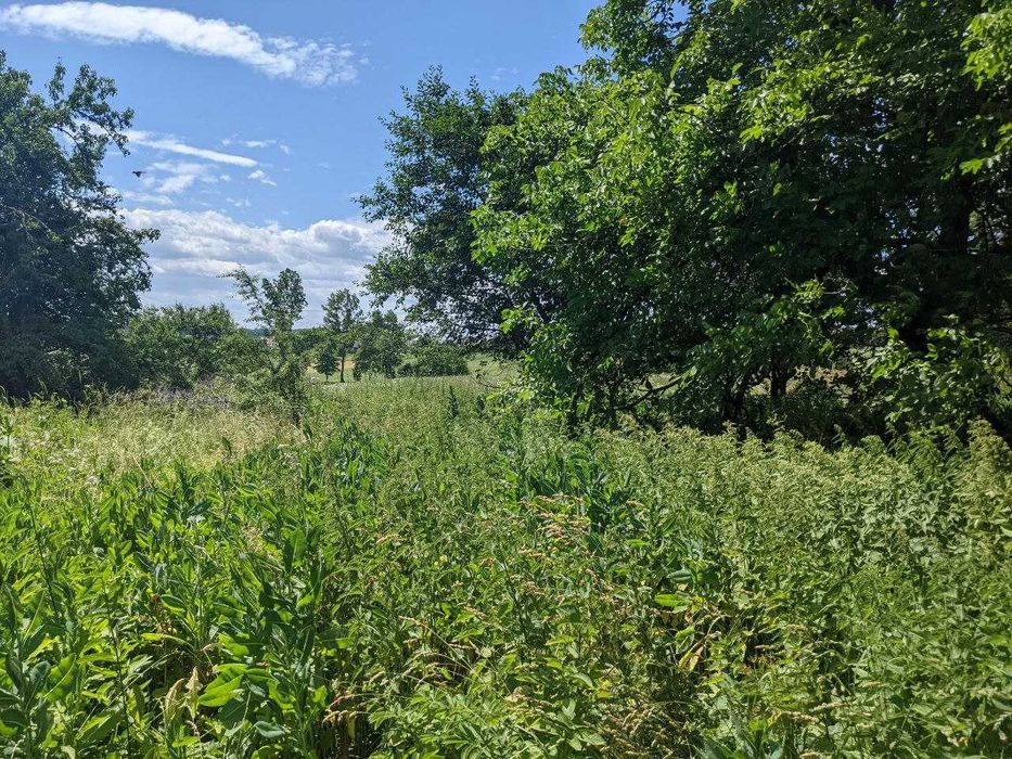 Продається готовий будинок у с. Вільшаниця (2)