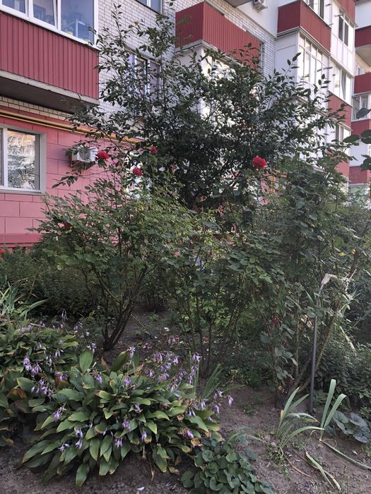 Продаж 2кмн кв + студія. Світло не вим.  є відновлення. Старобілоуська