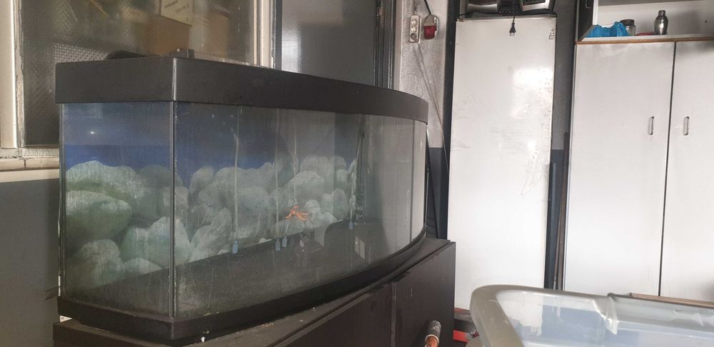 Vendo aquário 200 lt