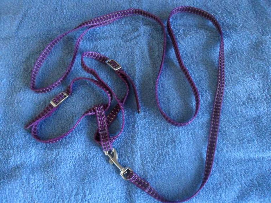 Шлейка-поводок для маленьких и средних животных - продам