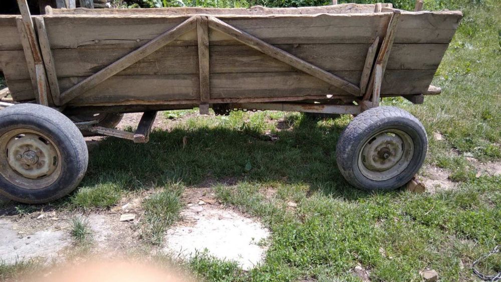 Є 4 фіри на вибір у грному стані
