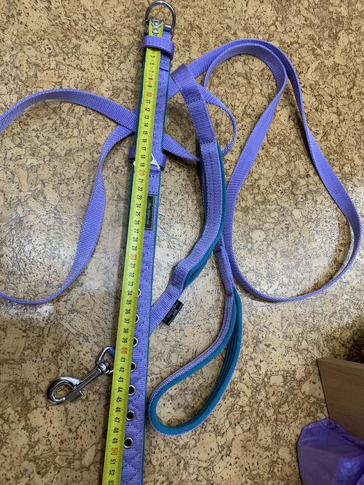 Ошейник и поводок в комплекте