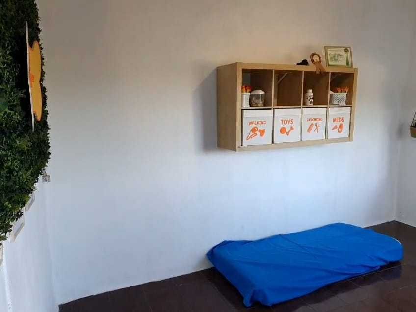 Hotel para cães (Estadia Familiar e Creche)