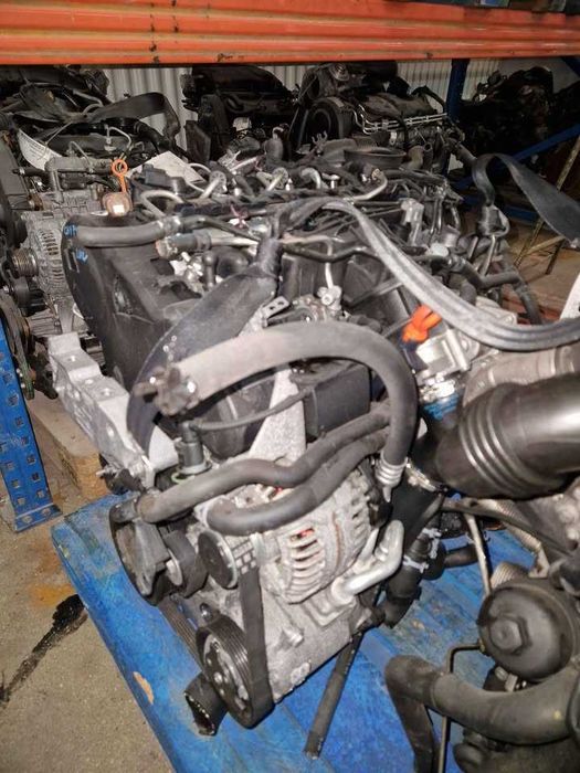 Motor VW/Audi/Seat/Skoda 1.6 TDI REF: CAY 115 Cavalos