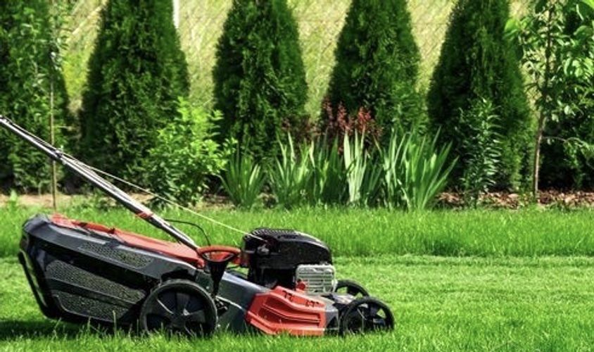 Покіс газону Послуги з прибирання території та догляд за садом