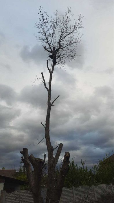 Спил аварійних дерев