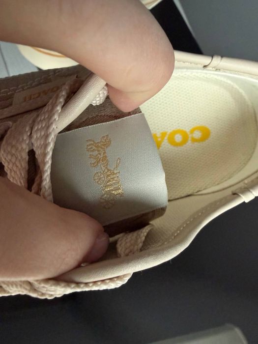 Кеди Coach в наявності коч коач