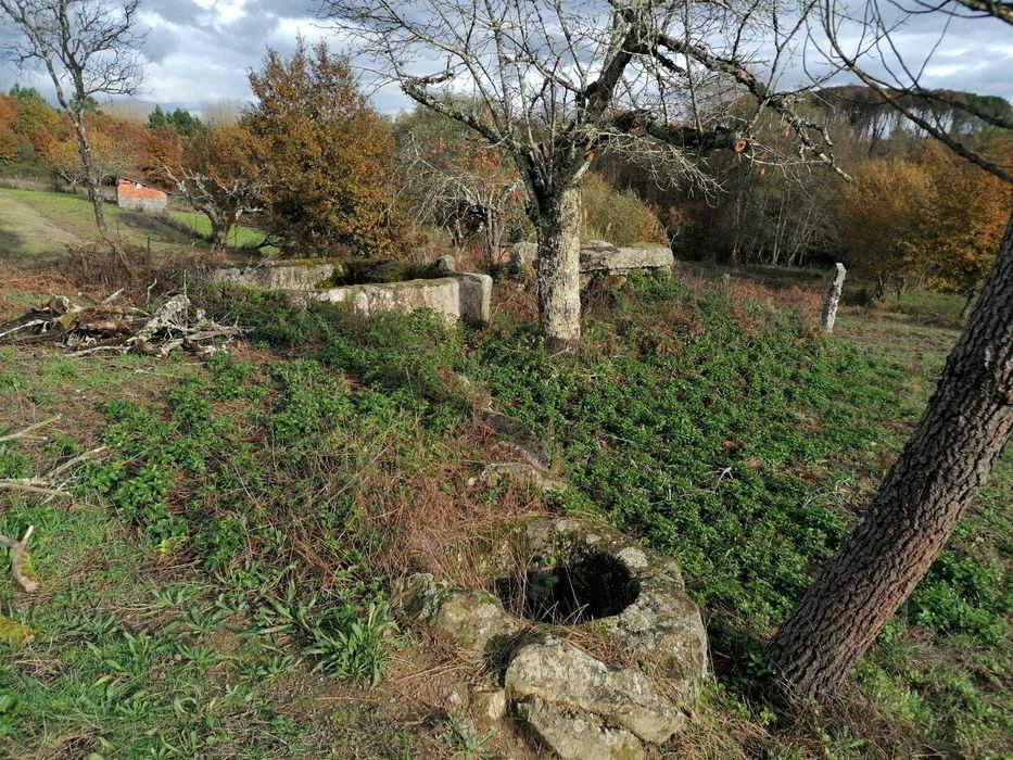 Quinta agrícola 20 000 m2 Cabanas de Viriato