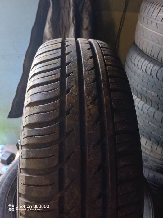 літня гума Nexen 175/65/14