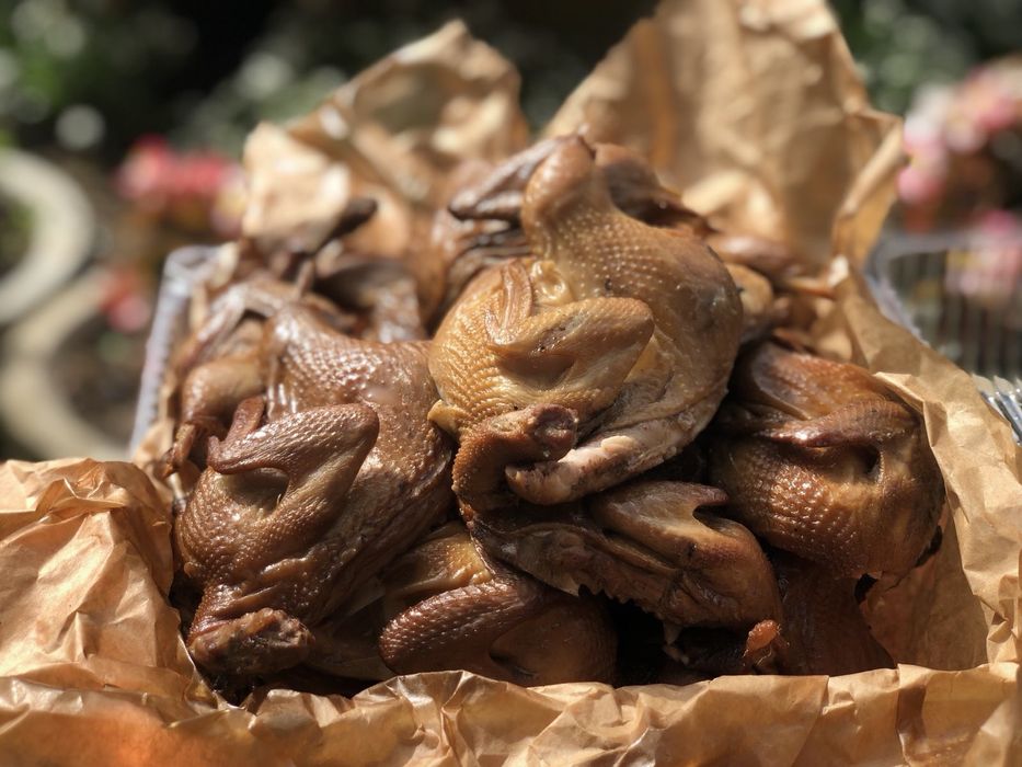 Перепілки. Перепелині яйця.