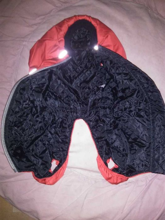 Комбинезон для таксы, костюм, комбенизон