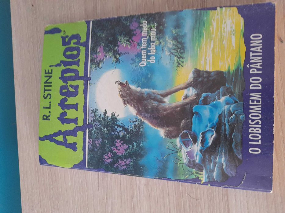 Lote 5 Livros Juvenis: Arrepios, Portal do Tempo, Campeões e Detetives