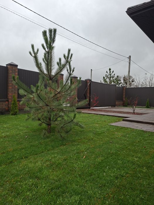 Асфальт, Сусіди. Відео будівництва