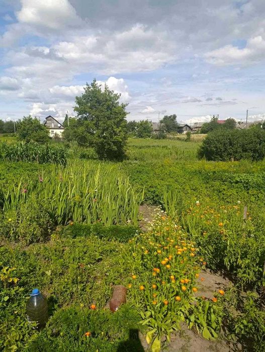 Будинок ділянка 10 соток Мена (SP)