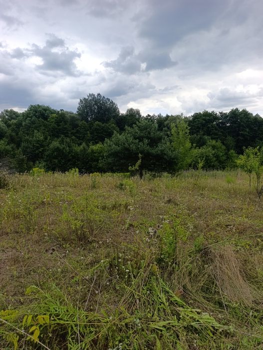 Ділянка під Будівництво майже в місті ,Київська  Топ ціна