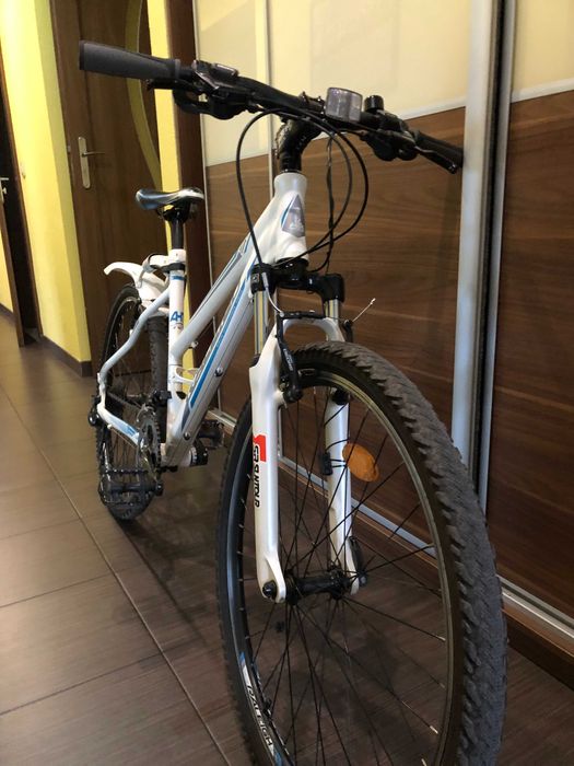 Rower RALEIGH Talus 1.0