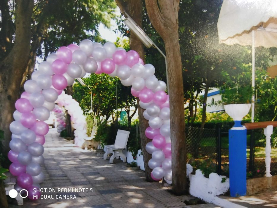 ORGANIZAÇÃO Eventos