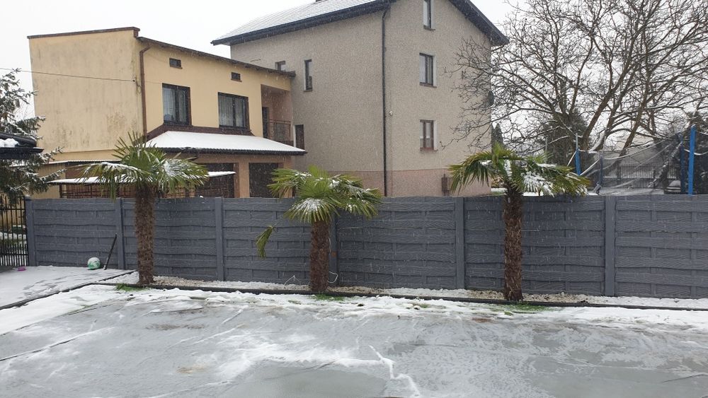 Ogłoszenia  Betonowe.  Kompleksowo Najtaniej