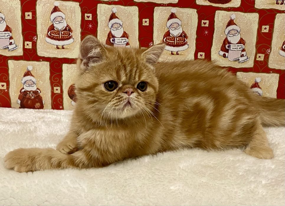 Забавні хлопчики