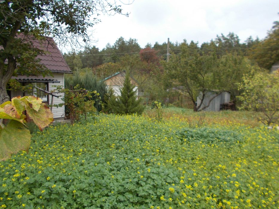 Продам приват зем ділянку 5 сот з будинком ст Хімік Гагаріна  Чернігів