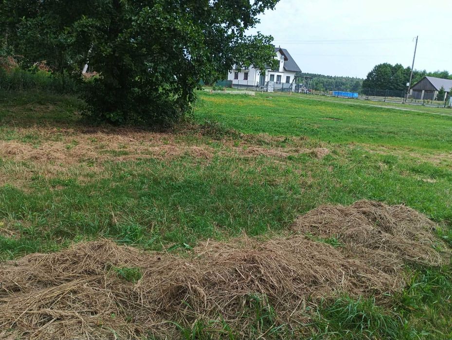 Miejsce dla Kampera na łace, z podciągniętą elektryką, blisko natury - Widok 2