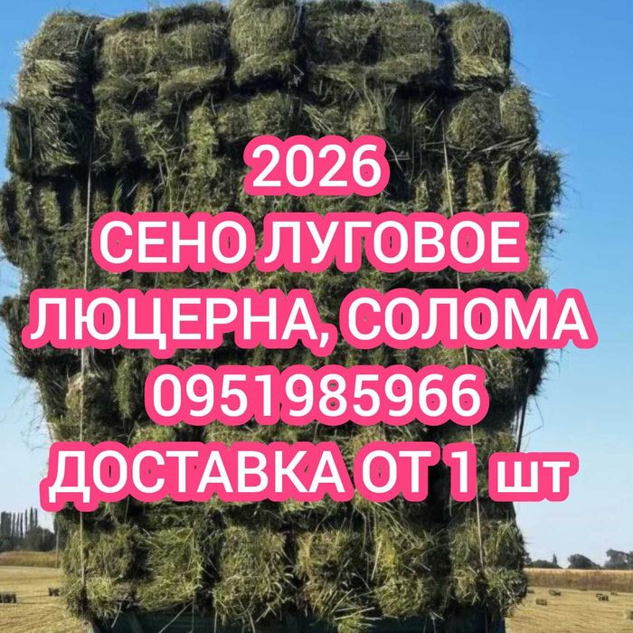 СЕНО 2026 С ДОСТАВКОЙ в тюках мешках полевое, сіно в тюках. Объёмы.
