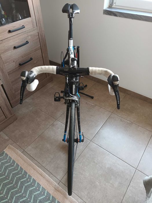 Bicicleta Focus Cayo 11v