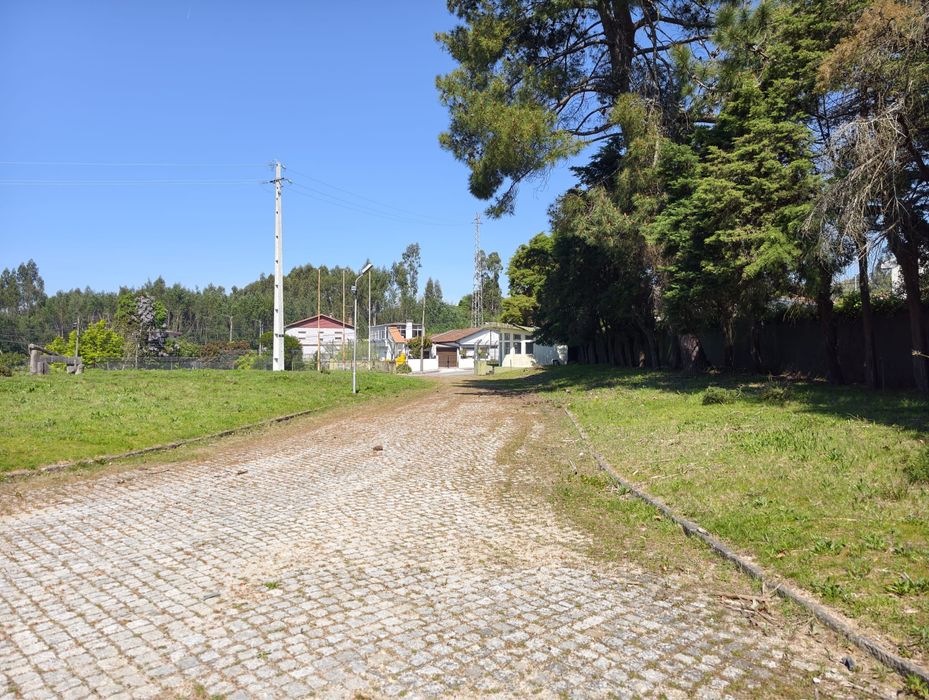 Armazem olival - liçenca industria