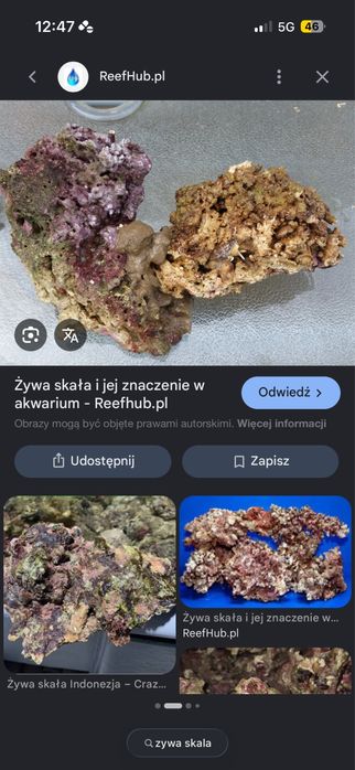 Żywa skala akwarium morskie koralowce