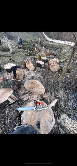 зрізання дерев методом арбористики зрізка обрізка чистка ділянок