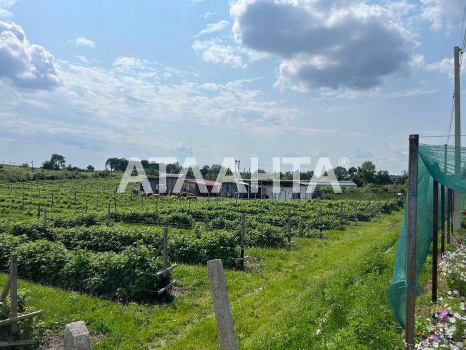 Продаж готового бізнесу з садівництвом м. Жовква
