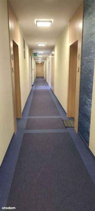 2 pokoje Przymorze bez pośredników Czwarty Żagiel
