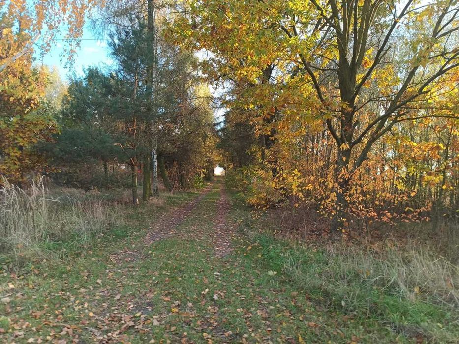Działka Budowlana Czemierniki cisza spokój blisko lasu