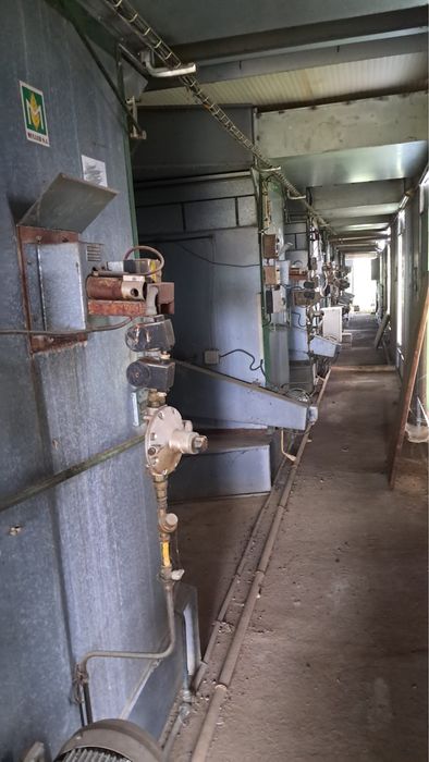 Suszarnie do tytoniu muller duze