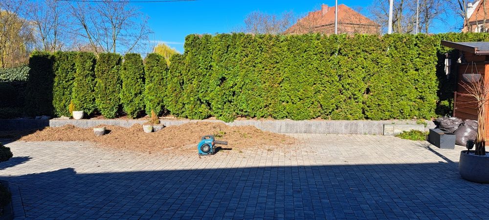 Ogrodnik pracę pielęgnacyjne ogrody