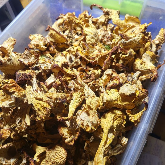 Лисичка сушена , Карпатська 100г