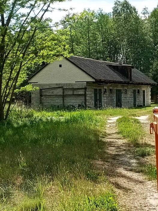 Sprzedam budynek gospodarczy lub działkę - Widok 2