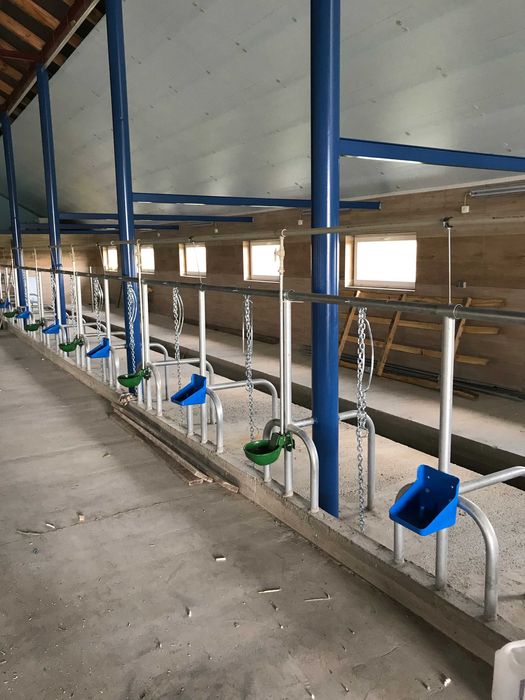 Maty Legowiskowe dla Bydła Krów Materace Wygrodzenia Bramki