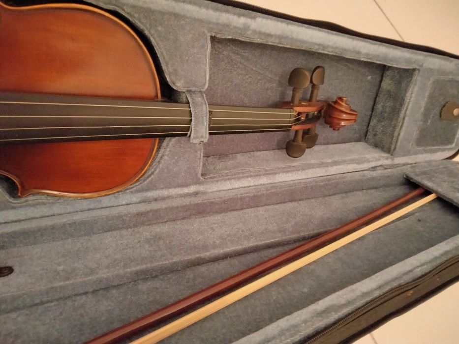 Violino Profissional e Alaúde/Oud