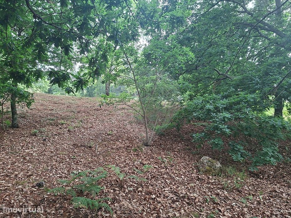 Terreno  para venda — Várzea, Aliviada E Folhada, Porto