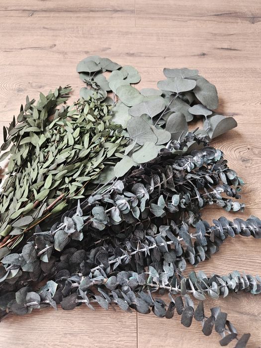 Евкаліпт стабілізований