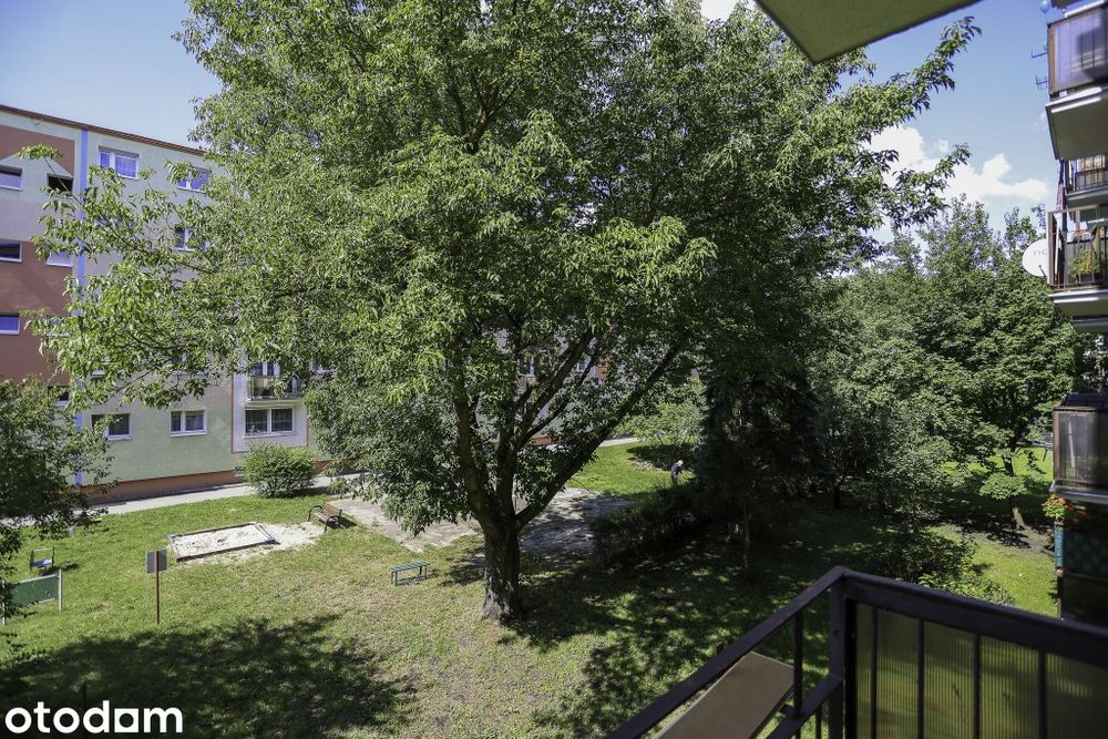 Mieszkanie – Bydgoszcz - Widok 5
