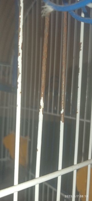 Продам клетку  для попугая