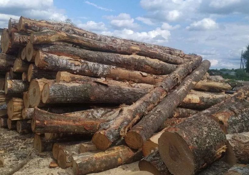 Kominkowe różne rodzaje