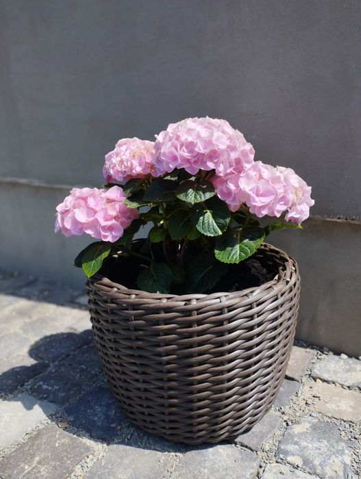 Кашпо ручна робота